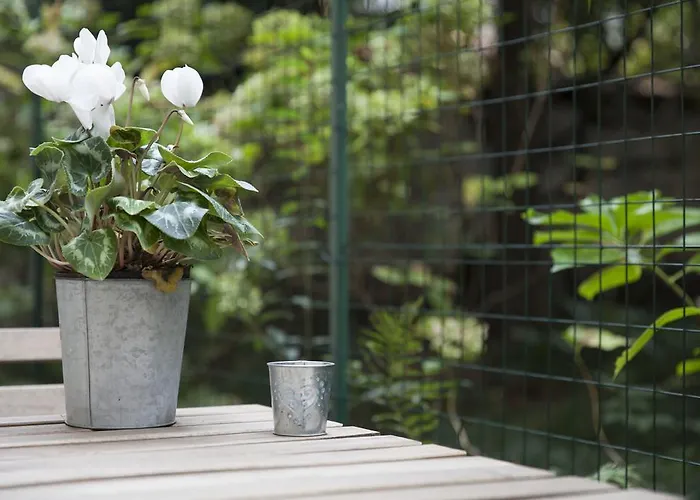 Apartment The Secret Garden *