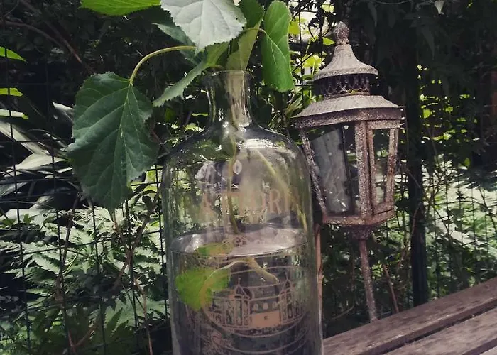 The Secret Garden Como