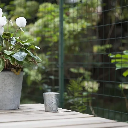 Apartmán The Secret Garden *