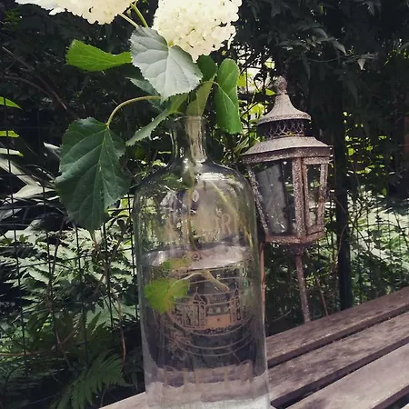 The Secret Garden Como